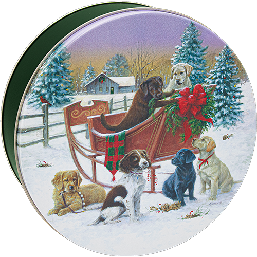 3C Sleigh Ride