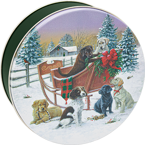 5C Sleigh Ride